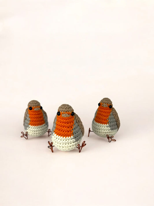 Robin Bird