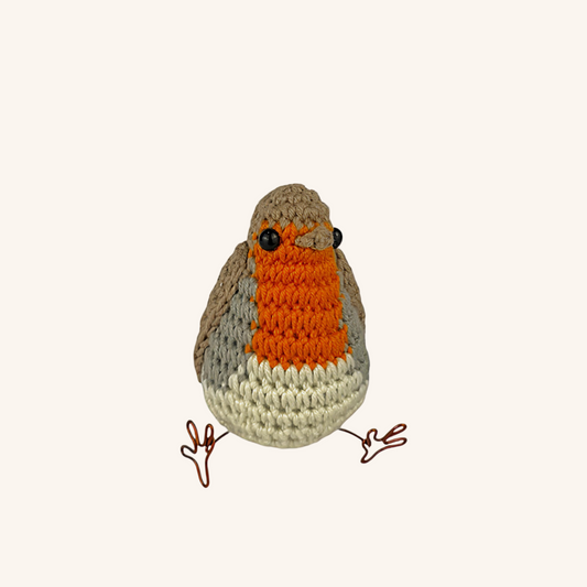 Robin Bird